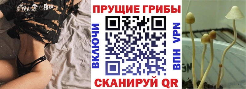 блэк спрут как зайти  Новотроицк  Галлюциногенные грибы мухоморы 