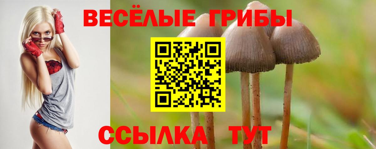 Псилоцибиновые грибы GOLDEN TEACHER Новотроицк